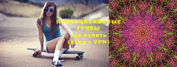 дурь Верея