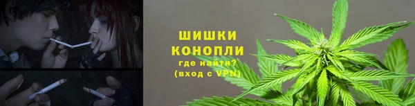 дурь Верея