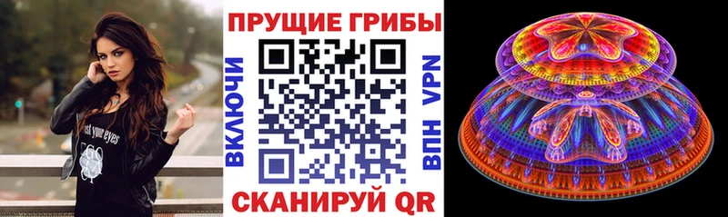 Галлюциногенные грибы мицелий  сколько стоит  Пятигорск 