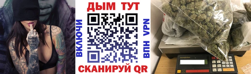 закладка  Пятигорск  Каннабис сатива 